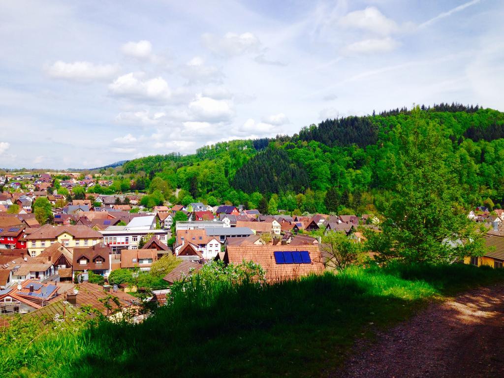 Schwarzwald Domizil Uhlsberg Apartman Kippenheim Kültér fotó